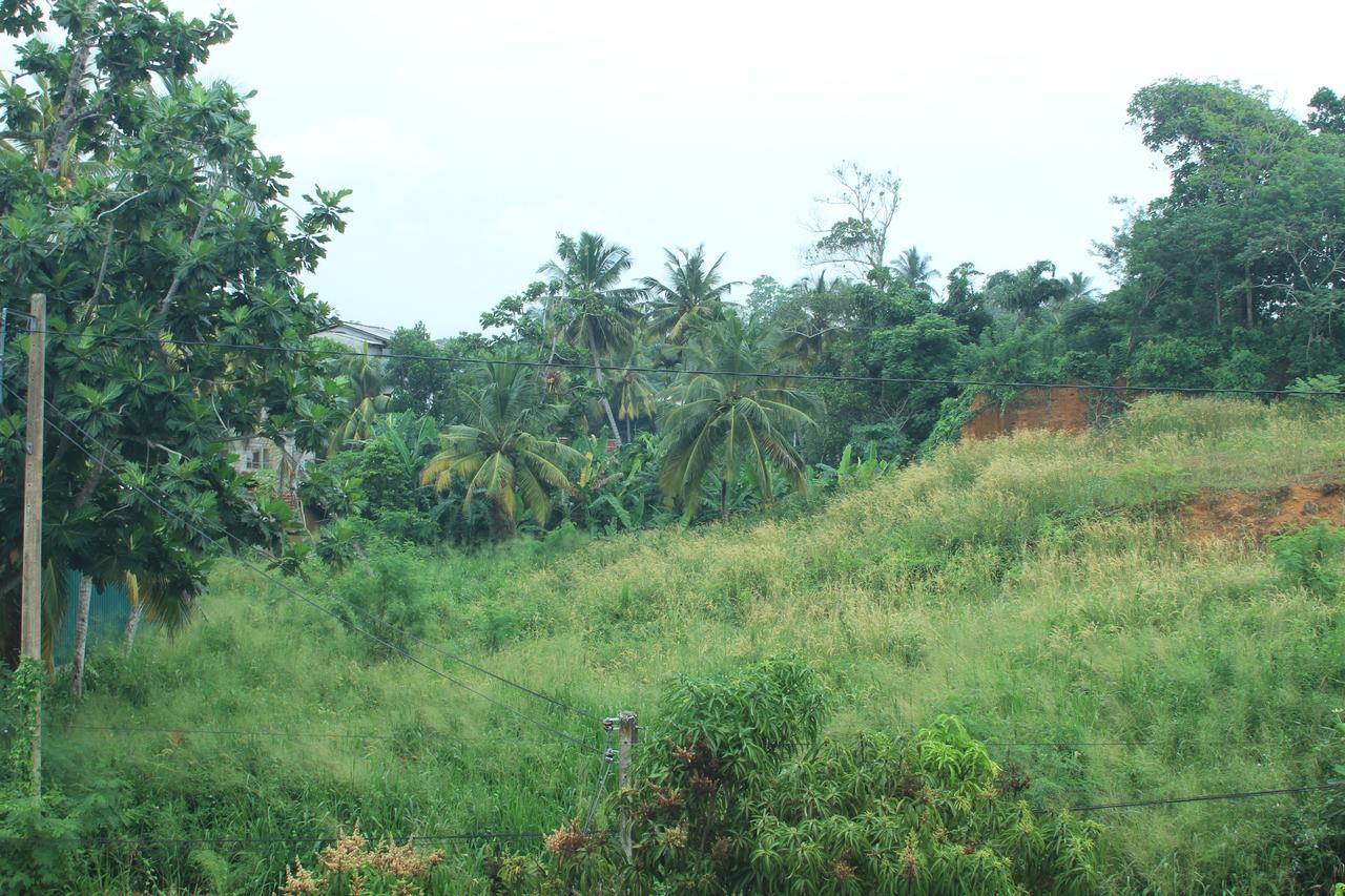 Lake View Villa Mirissa Exterior foto